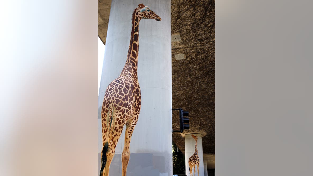 Iconic Oakland artist behind beloved giraffe mural dies at age 67