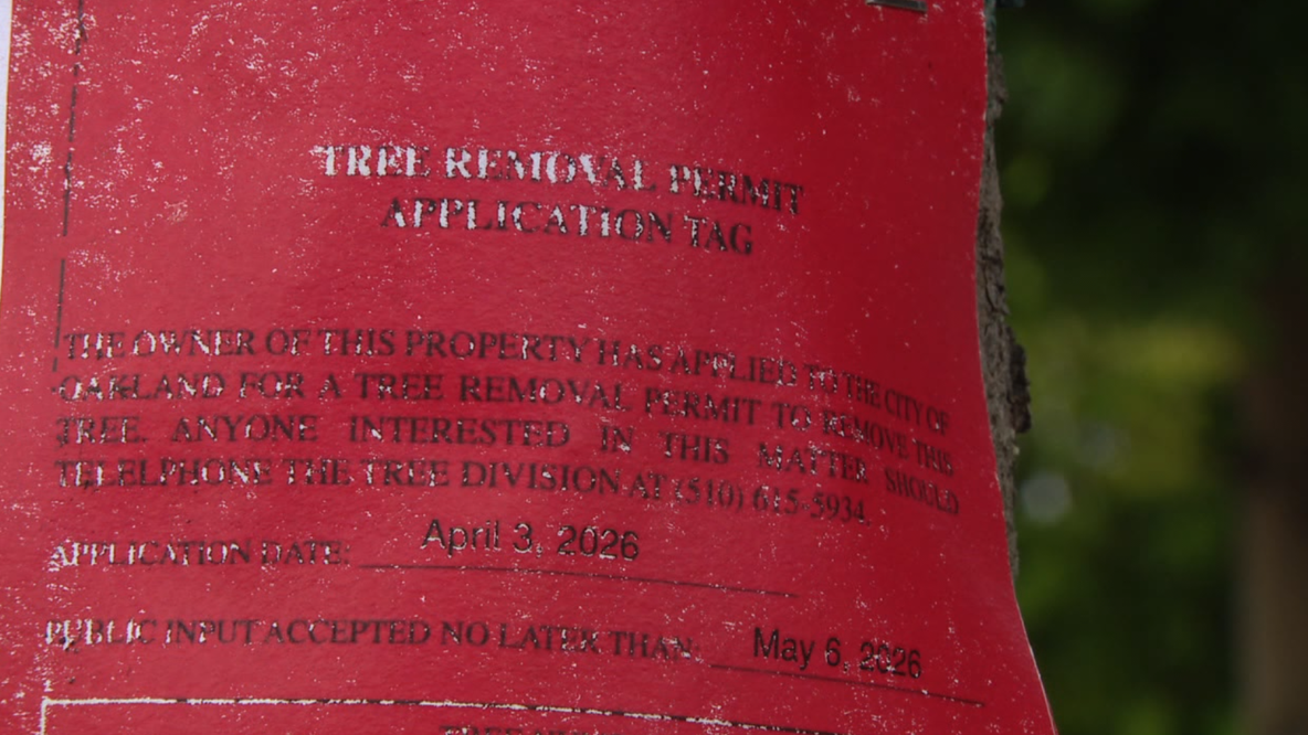 Tree removal at West Oakland BART station sparks community concern