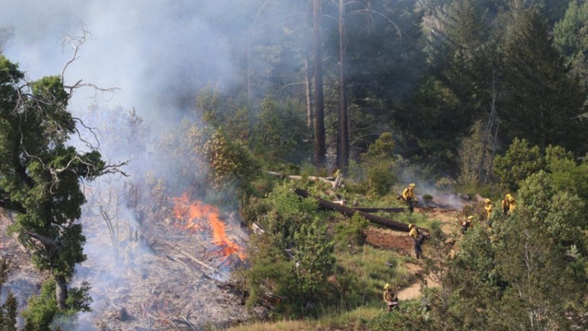 Vegetation Briggs Fire burns in Sonoma County