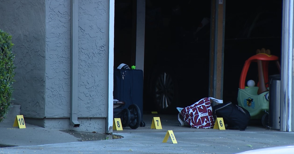 1-Year-Old Boy Killed in San Jose Car Crash Identified as Olivier Carmelo Sgarlata
