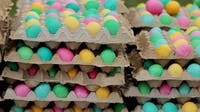 Human remains found during Easter egg hunt, California authorities say