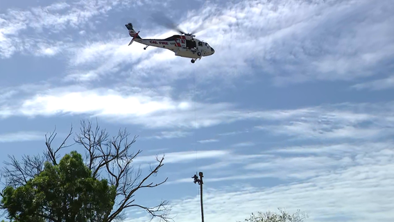 San Jose worker rescued from palm tree after medical emergency 75 feet in air