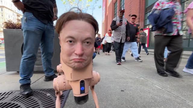 If you saw Elon Musk's head roaming San Francisco, you weren't imagining it
