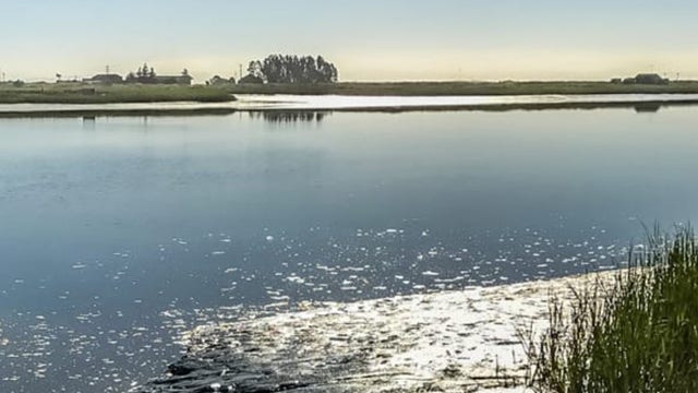 6 rescued off vessel 'in distress' in San Pablo Bay