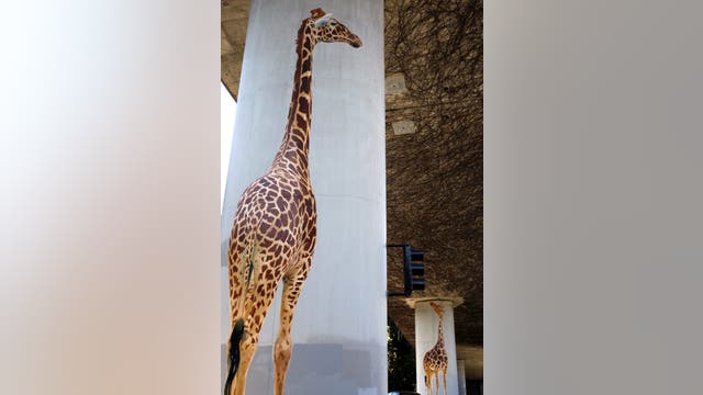 Iconic Oakland artist behind beloved giraffe mural dies at age 67