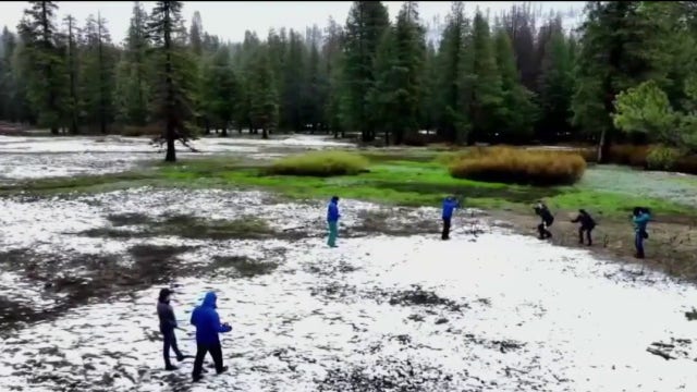 California April snow survey: 2nd lowest ever