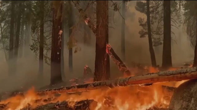 Trump Forest Service overhaul raises concerns about California wildfire research