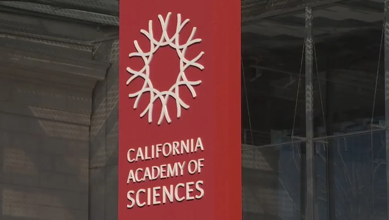 California Academy of Science cuts jobs, cites multi-million dollar deficit