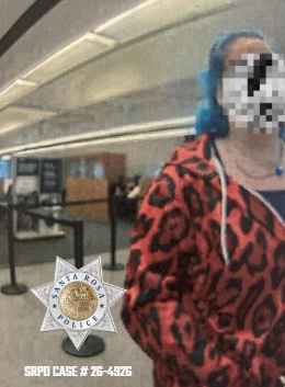 Alleged Bay Area bank robber's 'bright-blue hair' a clear giveaway, leads to arrest