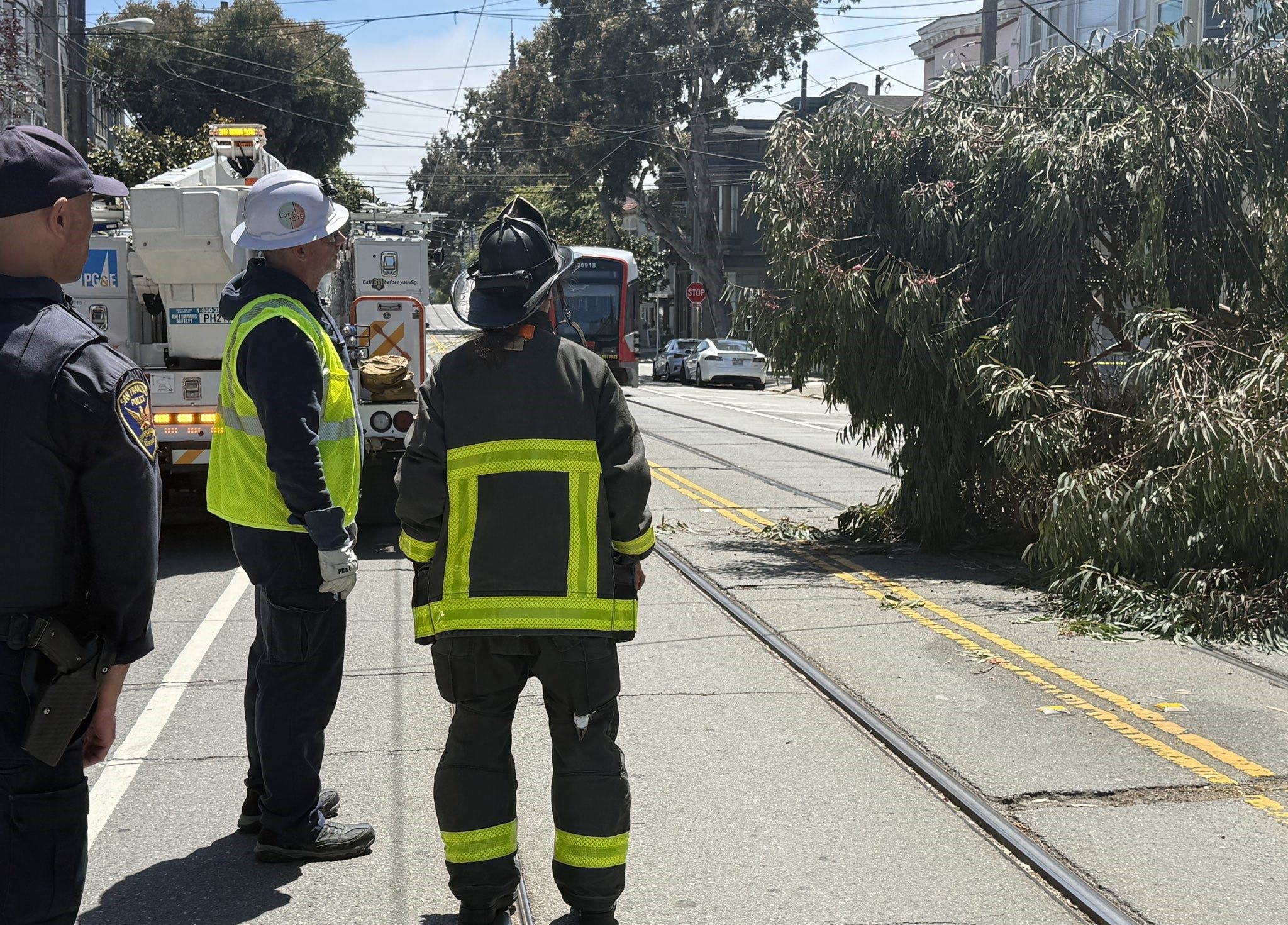 Fallen tree downs powerlines in SF, delays Muni line