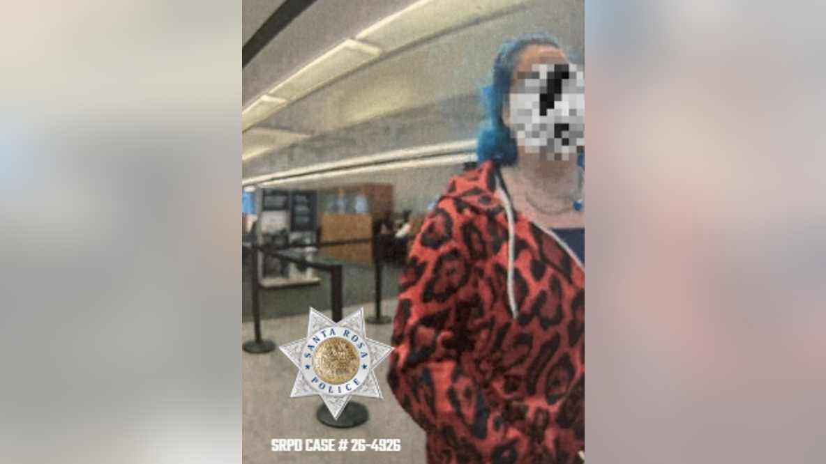 Alleged Bay Area bank robber's 'bright-blue hair' a clear giveaway, leads to arrest
