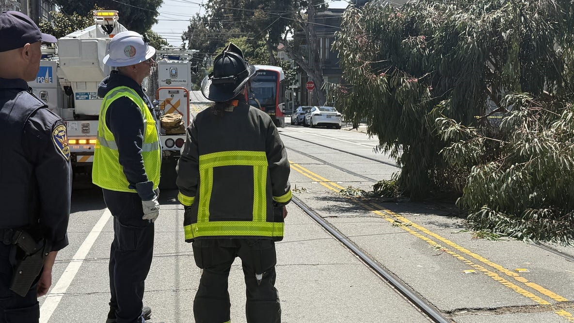 Fallen tree downs powerlines in SF, delays Muni line