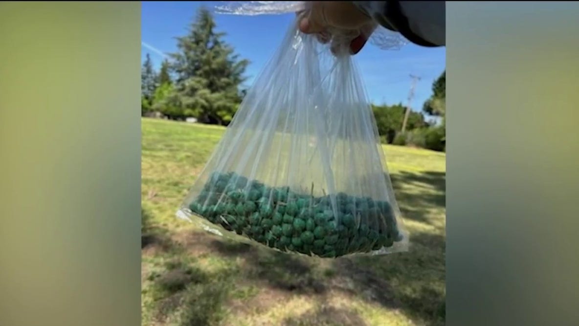 Police investigate suspected rodent poison at Santa Clara park after dog sickened; area closed