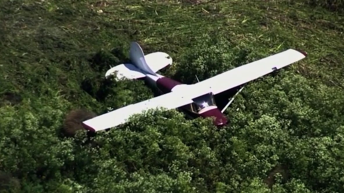 Small aircraft lands in Livermore vegetation