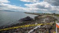 Dead gray whale along San Leandro shoreline