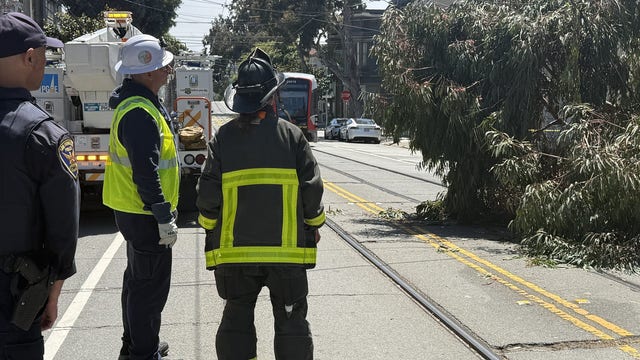 Fallen tree downs powerlines in SF, delays Muni line