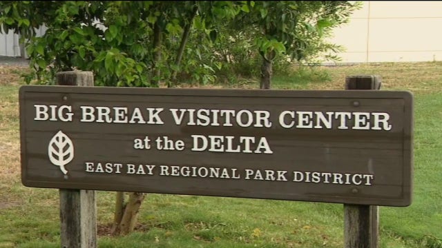 How a classic card game helped decide this East Bay city's name