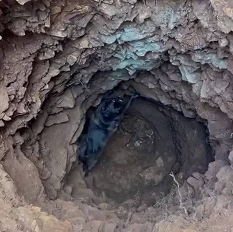 Missing dog rescued from 20-foot hole in Marin County