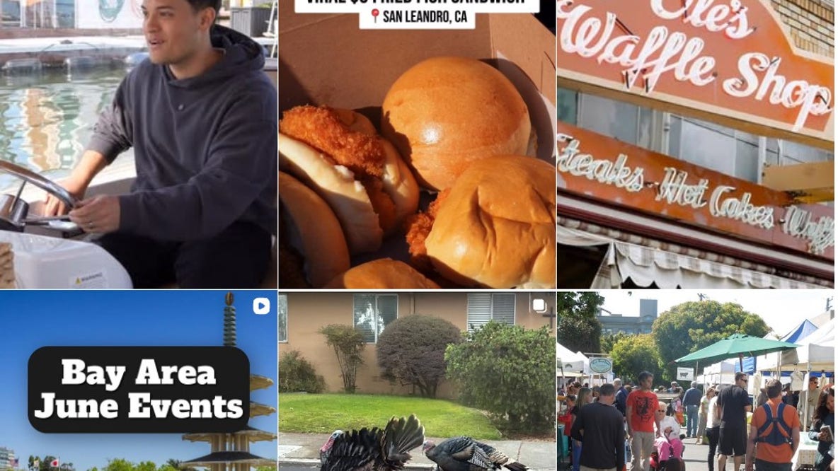 What should I do this weekend? Bay Area newsletters offer some answers