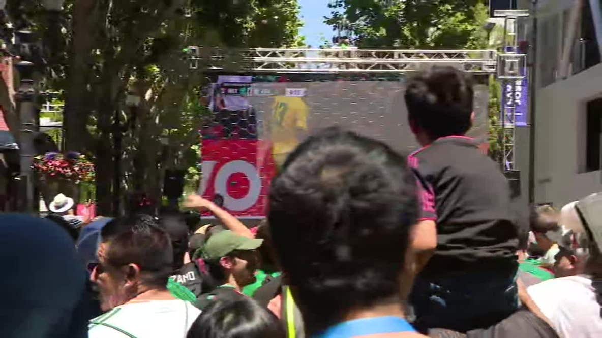 Sí se puede! San Jose World Cup fans go wild for Mexico