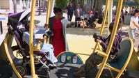 All-abilities playground opens at George Mark Children's House