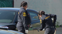 5 vehicles stolen from Alameda County maintenance garage; investigation underway
