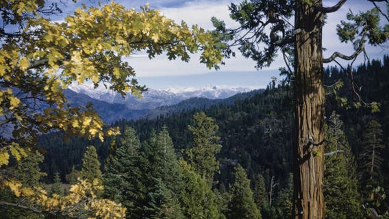 San Mateo couple drowns in waterfall at Kings Canyon National Park