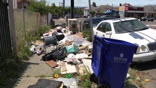 Oakland's approach to illegal dumping 'abysmal,' civil grand jury says