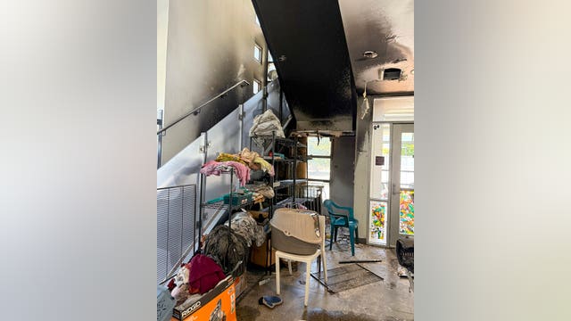 Arson investigation at Berkeley animal shelter after suspicious fire, police say