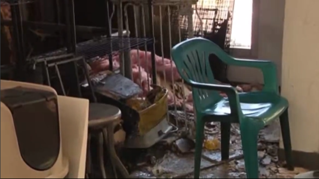 Arrest made after arson attack at Berkeley animal shelter