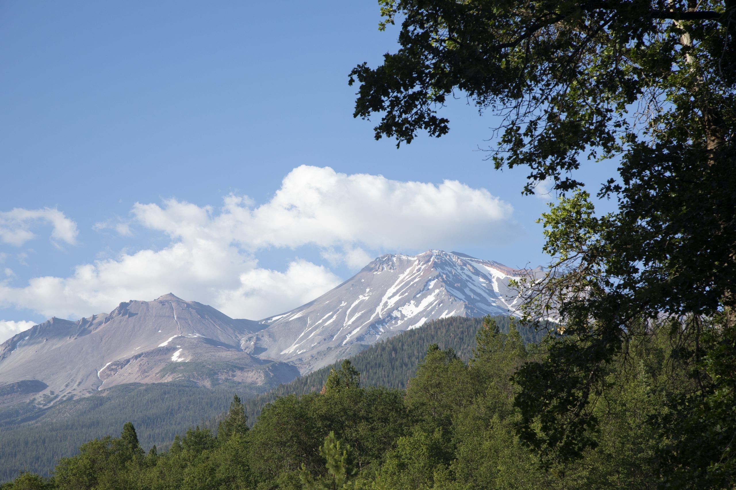 Father, son accused of kidnapping US Forest Service workers near Mt. Shasta