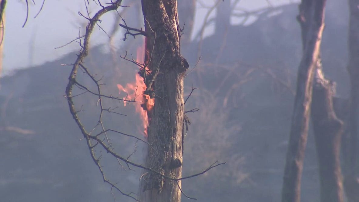 Mines Fire in Santa Clara County grows to 172 acres