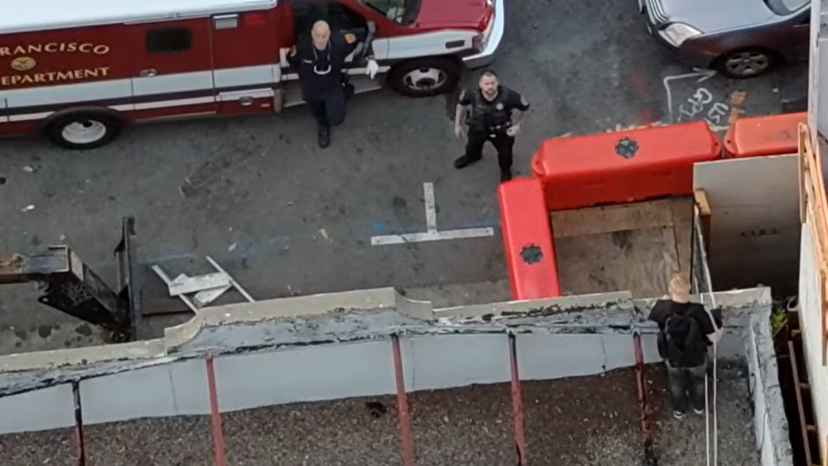 Man who allegedly tortured, killed kitten arrested after fleeing from SF police onto hotel roof