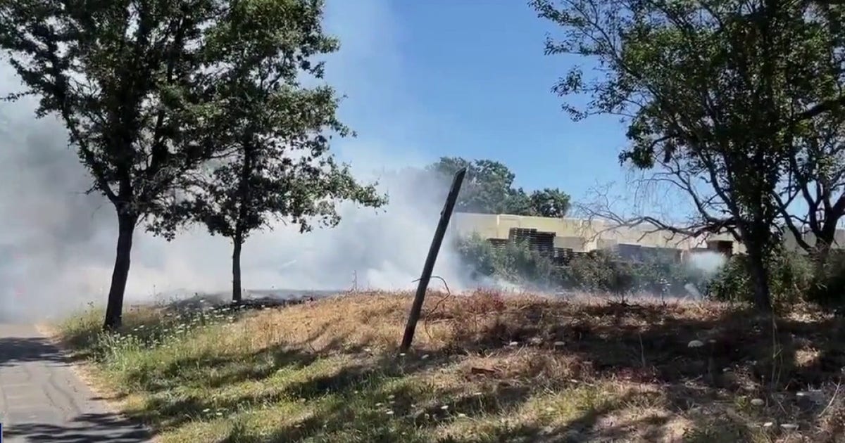 Fire Santa Rosa: five arrested as 17 arsons investigated