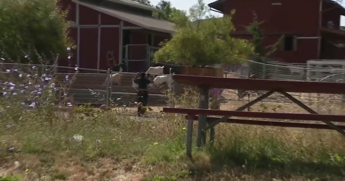 This urban farm is ‘uniquely Vallejo,’ giving students hands-on lessons in agriculture, animal care