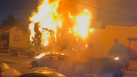 Illegal 4th of July fireworks ignite fire, damage vehicles and tree in Oakland