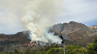 CAL FIRE: Ledson fire 35% contained, forward progress halted