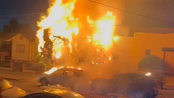 Illegal 4th of July fireworks ignite fire, damage vehicles and tree in Oakland