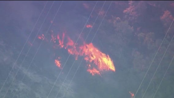 Vegetation fire near Clayton now 50% contained
