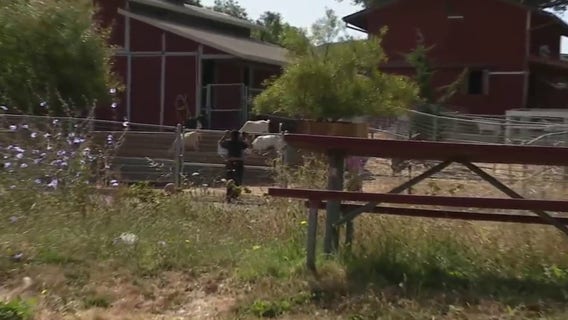 This urban farm is ‘uniquely Vallejo,’ giving students hands-on lessons in agriculture, animal care