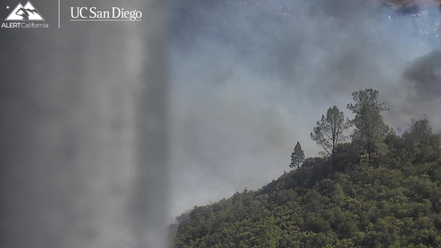 Dove Fire: Evacuation orders issued as Tuolumne County fire grows
