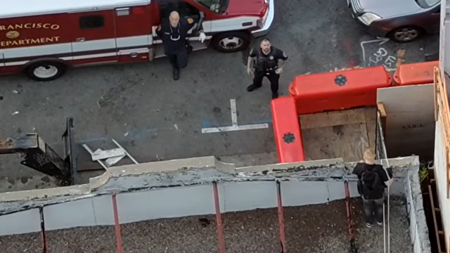 Man who allegedly tortured, killed kitten arrested after fleeing from SF police onto hotel roof
