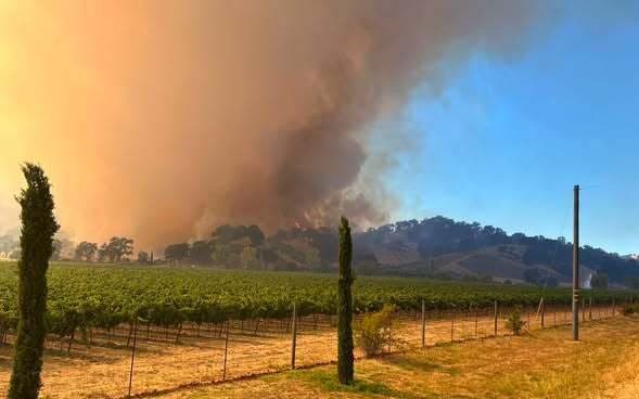 Feliz Fire in Mendocino County grows to more than 840 acres, prompts evacuation orders