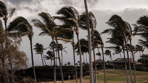 After Lala, new storm may approach Hawaiian islands