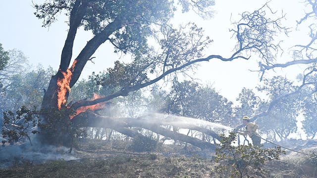 Timber Fire burning in Big Sur evacuates popular destinations