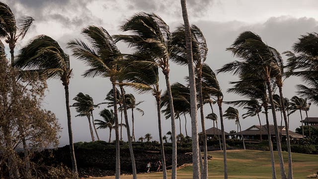 After Lala, new storm may approach Hawaiian islands
