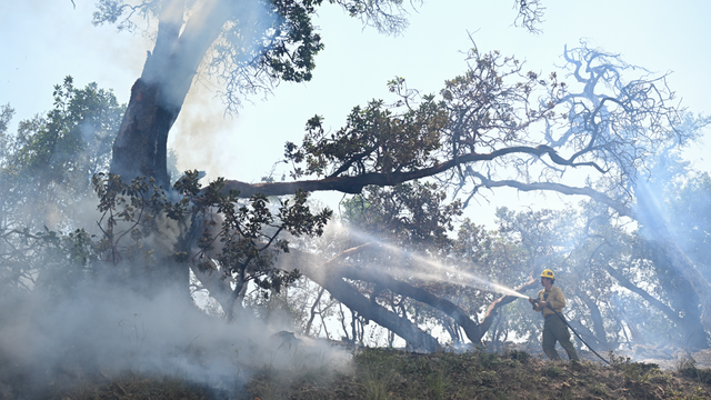 Big Sur’s Timber Fire: Rugged terrain challenges firefighting crews
