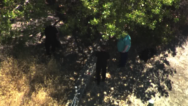 Human skeletal remains found in San Jose under investigation