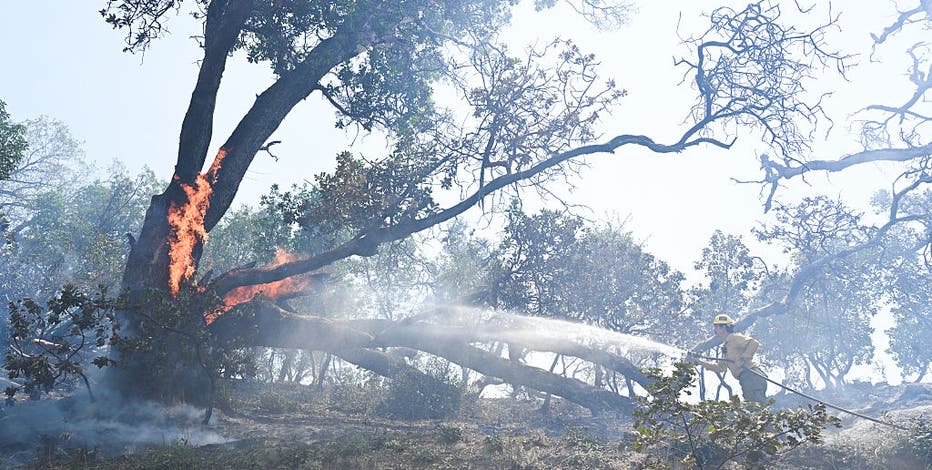 Timber Fire burning in Big Sur evacuates popular destinations