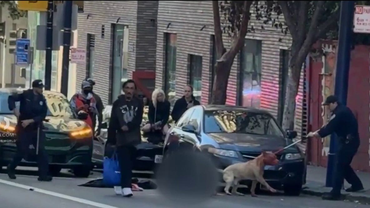 Woman critically injured in San Francisco dog attack